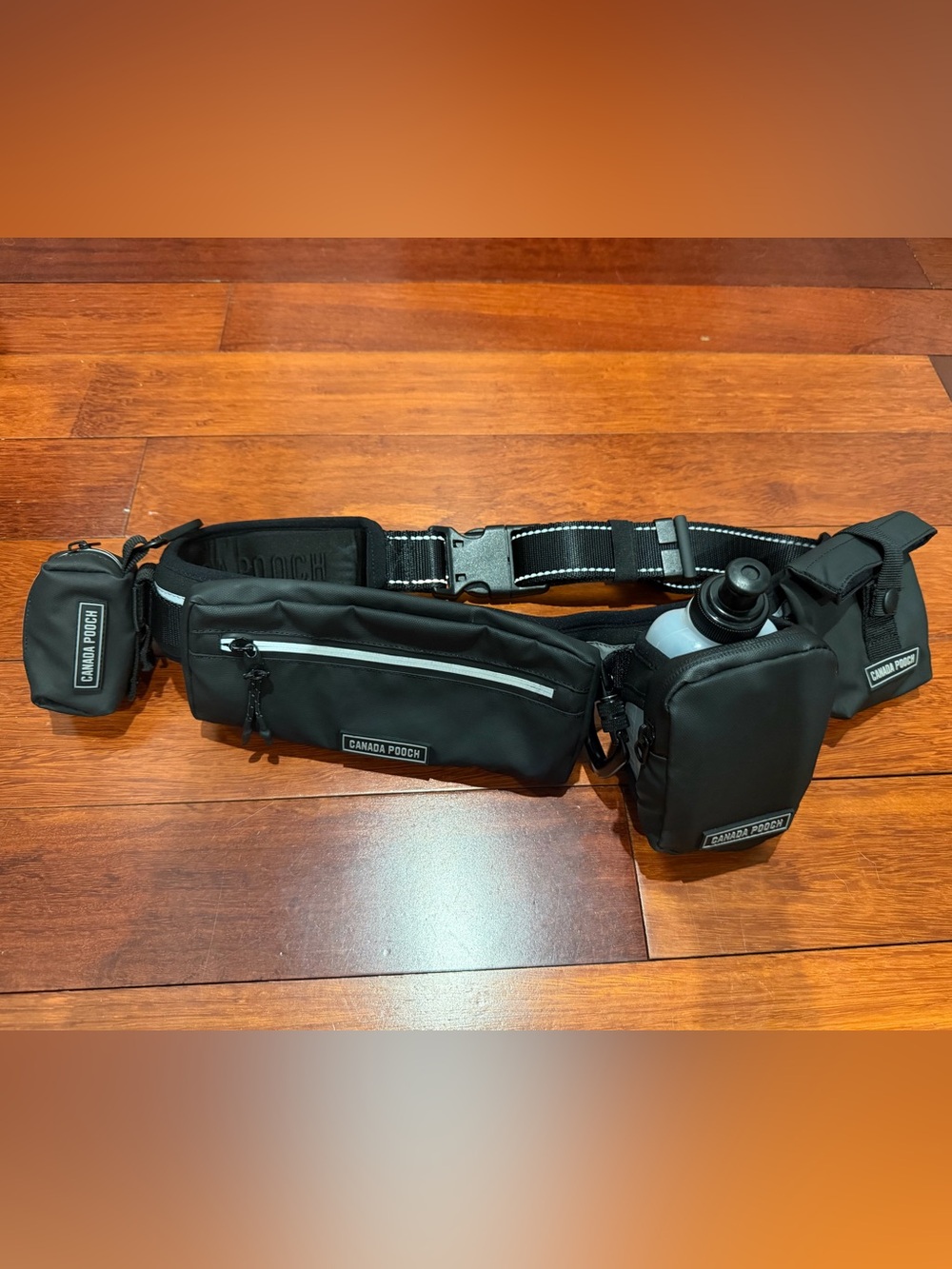 Canada Pooch Handsfree Dog Walking Utility Belt Black w/ All Accessories